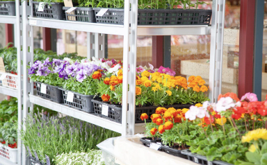 アグリの森 イオン笠間店