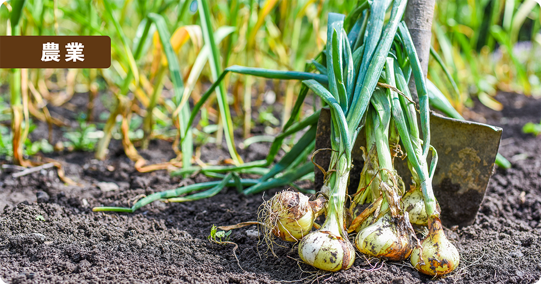 エイジェックファームの写真