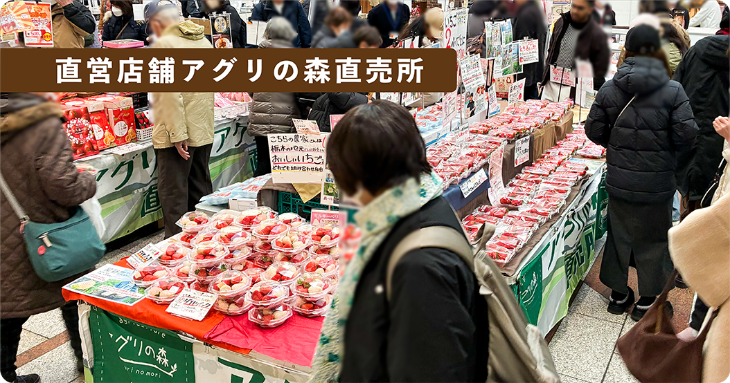 エイジェックファームの写真